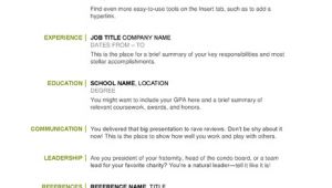 Basic Resume Examples with Picture Basic Resume