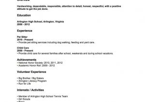 Basic Resume First Job Resume Examples after First Job after Examples First