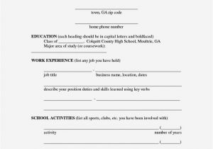 Basic Resume for 15 Year Old 15 Year Old Cv Example Resume Template Cover Letter