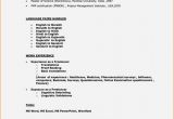 Basic Resume for A 16 Year Old A Cv Template for A 16 Year Old Application Letters