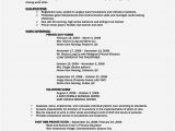 Basic Resume for A 16 Year Old Contoh Job Description Pdf Contoh Bee