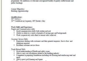 Basic Resume for A Young Person Cv formats and Examples