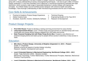 Basic Resume for A Young Person Cv Template for Young Person 18 Professional Cv