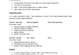 Basic Resume for A Young Person Cv Templates the Lighthouse Project