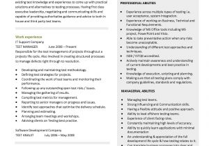 Basic Resume for A Young Person Stefanbarretto92 Stefan Barretto Page 16