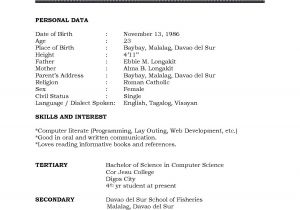 Basic Resume format for Job Download Free Blank Resume form Template Printable Biodata
