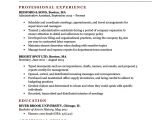 Basic Resume format for Job Expert Preferred Resume Templates Basic Simple