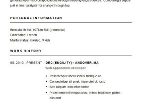Basic Resume format In Word Basic Resume Template Doliquid