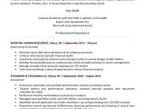 Basic Resume Header 40 Basic Resume Templates Free Downloads Resume Companion