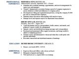 Basic Resume Header Expert Preferred Resume Templates Basic Simple