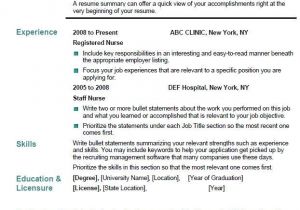 Basic Resume Headline Free 40 top Professional Resume Templates