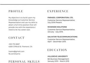 Basic Resume Help 30 Simple and Basic Resume Templates for All Jobseekers