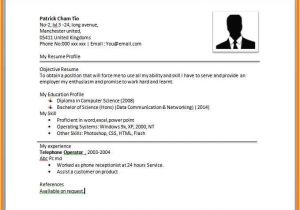 Basic Resume Helper 8 Easy Resume format Sample Dragon Fire Defense