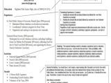 Basic Resume High School Student 19 Basic Resume format Templates Pdf Doc Free