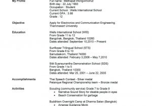 Basic Resume High School Student 8 Basic Student Resume Templates formatmemo