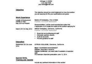 Basic Resume History 5 Customizable Resume Outline Templates and Worksheets