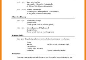 Basic Resume History 7 Cv Template Basic theorynpractice