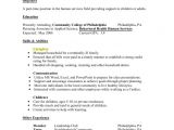 Basic Resume History Blog and Google Basic Resume Examples