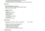 Basic Resume History History Resume Templates Samples Simple Resume Examples