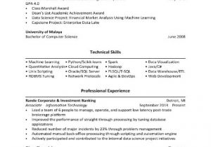 Basic Resume In HTML 14 Basic Resume Examples Templates In Word Pages