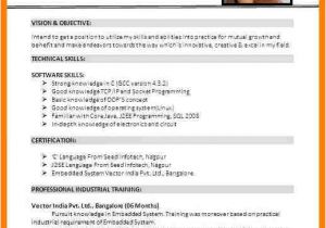 Basic Resume India 10 Latest Cv format 2017 India Sephora Resume Sample