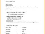 Basic Resume India India Resume format Download Simple Resume format