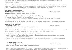Basic Resume Introduction Sample Chronological Resume 9 Examples In Word Pdf