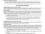Basic Resume Look 44 Basic Resume Template Free Download