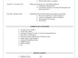 Basic Resume Malaysia Resume