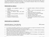 Basic Resume Model Model De Cv Simple