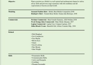 Basic Resume Model Model Resume Templates for Ms Word Free Example format