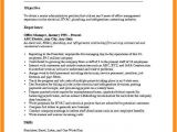Basic Resume Objective Examples 10 11 Curriculum Vitae Objectives Examples