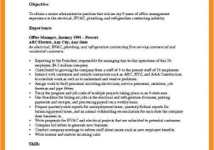 Basic Resume Objective Examples 10 11 Curriculum Vitae Objectives Examples