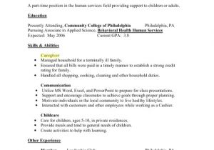 Basic Resume Objective Examples Blog and Google Basic Resume Examples