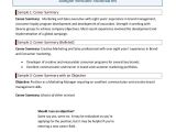 Basic Resume Professional Summary 9 Career Summary Examples Pdf Examples