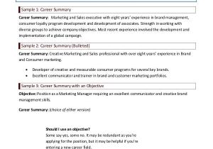 Basic Resume Professional Summary 9 Career Summary Examples Pdf Examples