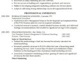 Basic Resume Professional Summary Professional Resume Summary 2016 Samplebusinessresume