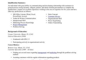 Basic Resume Professional Summary Professional Summary Resume Examples Customer Service