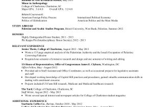Basic Resume Professional Summary Sample Resume for College Student 10 Examples In Word Pdf