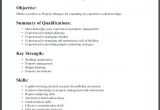 Basic Resume Qualifications 8 Good Summary Of Qualifications Invoice Templatez