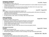 Basic Resume Qualifications Examples Basic Resume Samples Examples Templates 8 Documents