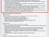Basic Resume Qualifications Examples Retail Resume Summary Examples Free Office Templates