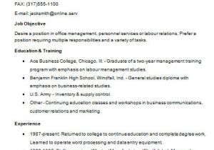 Basic Resume Qualifications Sample Basic Resume 21 Documents In Word