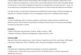 Basic Resume Requirements Sample Business Analyst Resume Templates at