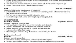 Basic Resume Sample for Students Basic Resume Samples Examples Templates 8 Documents