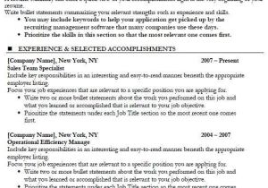 Basic Resume Sections 17 Best Basic Resume Images On Pinterest Resume