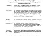Basic Resume Structure Basic Resume Samples Examples Templates 8 Documents