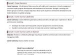 Basic Resume Summary Examples 9 Career Summary Examples Pdf Examples