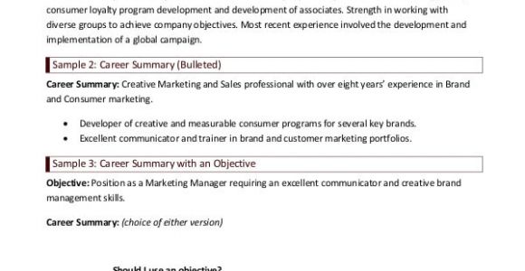 Basic Resume Summary Examples 9 Career Summary Examples Pdf Examples