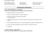 Basic Resume Summary Examples Basic Resume
